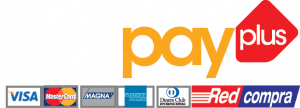 webpay-logo-300x108